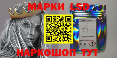 гидропоника Гусев