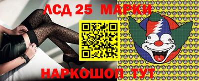 гидропоника Гусев