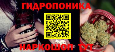 гидропоника Гусь-Хрустальный
