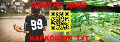 гидропоника Гусь-Хрустальный